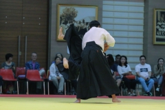 MC-Photo-Fik_190615_0124