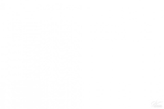 2019-06-15-Part-B_190616_0350